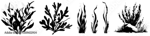 Underwater algae from cartoons and aquarium seaweed plants are depicted together with ocean seaweed and tropical sea marine flora, including coral reef undersea water algae in an isolated modern