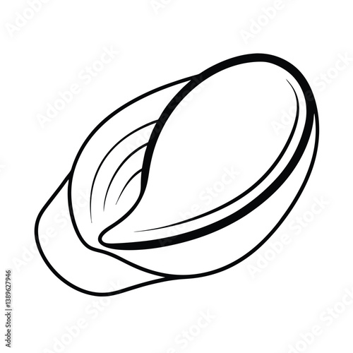  sea mussel  line art vector on white background
