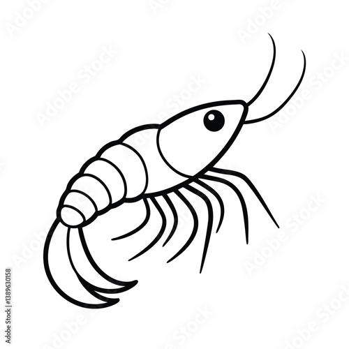 vector illustration of a shrimp