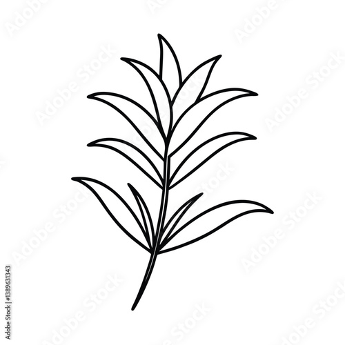 Rosmarinus flower line art vector art illustration