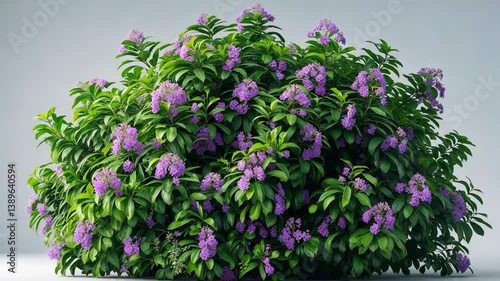 Wallpaper Mural flower bush tree isolated tropical plant with clipping path_g_1_1_1.png Torontodigital.ca