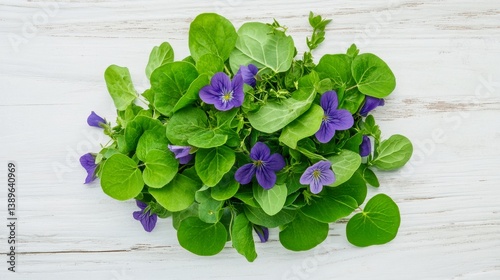 Top-down composition of foraged greens like wood sorrel, chickweed, and violet leaves