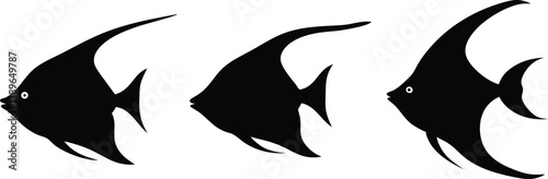 Set of angelfish vector silhouette, icon, illustration on a white background