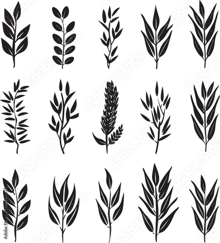 Collection of Oat flakes icon linear black on white background