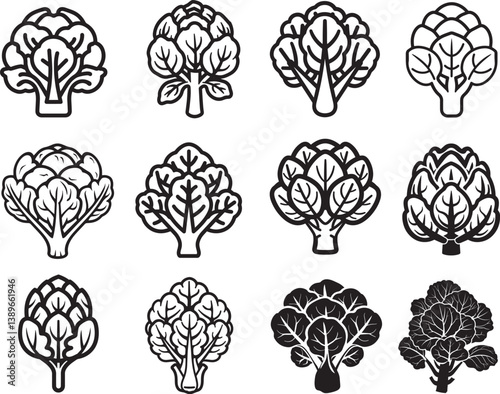 Brussels Sprout icon linear black on white background