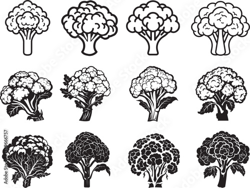cauliflower icon linear black on white background