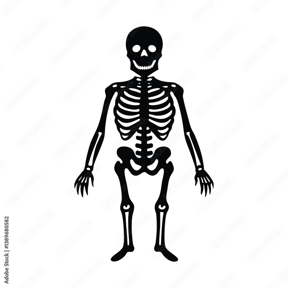 Skeleton vector silhouette Skeleton vector silhouette