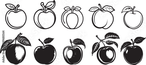 Peach icon linear black on white background