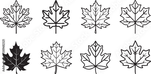 Sycamore Maple icon linear black on white background