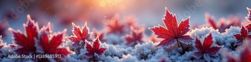 Frozen red leaves covered in a thin layer of frost illuminated by the soft morning sunlight of winter,  morning,  red