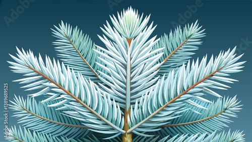 Foliage of White fir ( Abies concolor). Abies concolor is a fir with long, silvery needles. They are soft to touch.