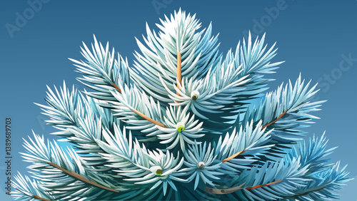 Foliage of White fir ( Abies concolor). Abies concolor is a fir with long, silvery needles. They are soft to touch.