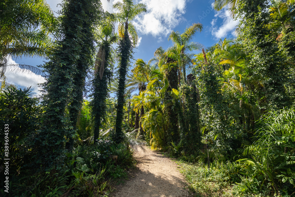 The Yarkon Park in Tel Aviv in summer