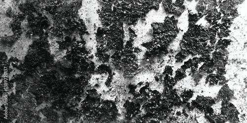 The inherent and untamed beauty of a naturally occurring organic texture is presented in a classic black and white aesthetic.

