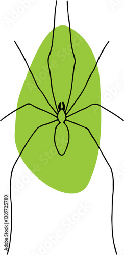 harvestman spider with green round fill on background hand drawn with curved black lines contours, top view