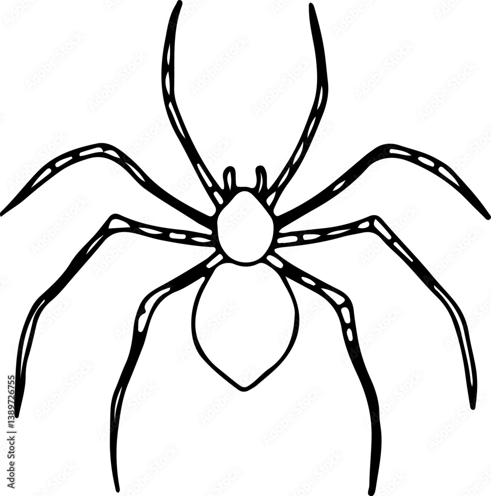 Obraz premium house spider hand drawn with curved black lines contours, top view