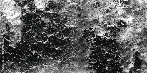 The stark and dramatic portrayal of a deeply textured surface in monochrome, creating a profound sense of age, wear, and perhaps even decay.
