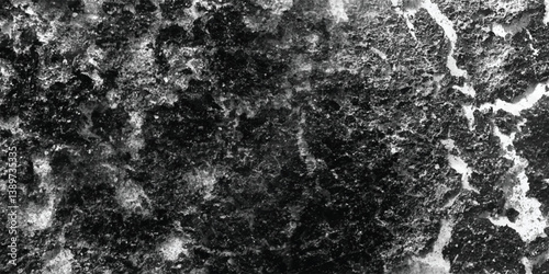 A deeply textured surface, characterized by its irregular contours and varied tonal values, is presented in a striking black and white format.
