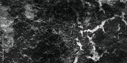 A high-contrast and visually arresting depiction of a heavily textured surface, emphasizing its ruggedness and unique character.
