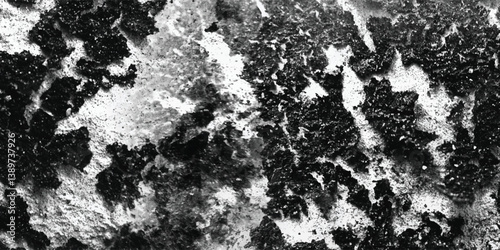 The intricate and fascinating world of surface texture is revealed in this detailed and sharply focused monochromatic image.
