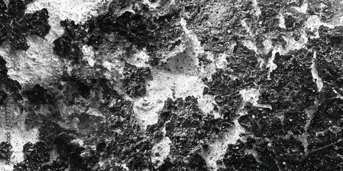 A richly textured surface, displaying a wide range of tonal variations and intricate patterns, is masterfully presented in a grayscale format.
