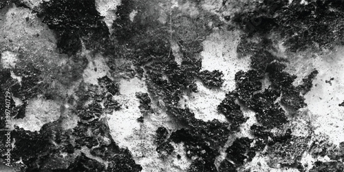 Wallpaper Mural The strategic and dramatic play of light and shadow serves to enhance the three-dimensional depth and ruggedness of this textured subject.
 Torontodigital.ca