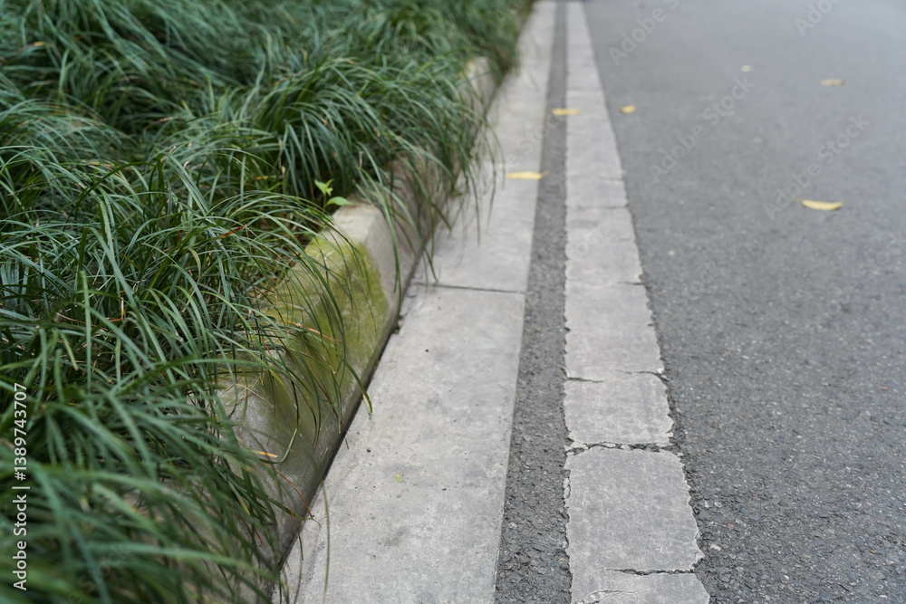 Concrete Curb and Green Grass with Asphalt Pavement in city