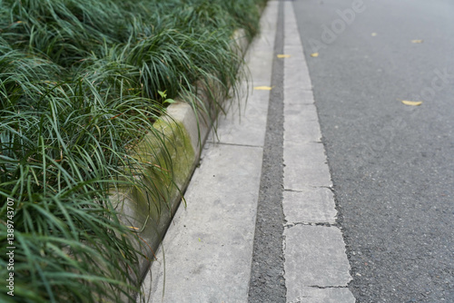 Obraz na płótnie Concrete Curb and Green Grass with Asphalt Pavement in city w salonie
