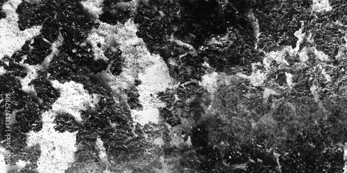 The stark and unforgiving contrast of black and white highlights the inherent imperfections and irregularities of this material.

