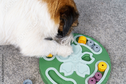 Canvas Print Top view Interactive educational toy feeder for dogs and cats