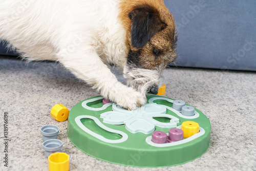Canvas Print Interactive educational toy feeder for dogs and cats