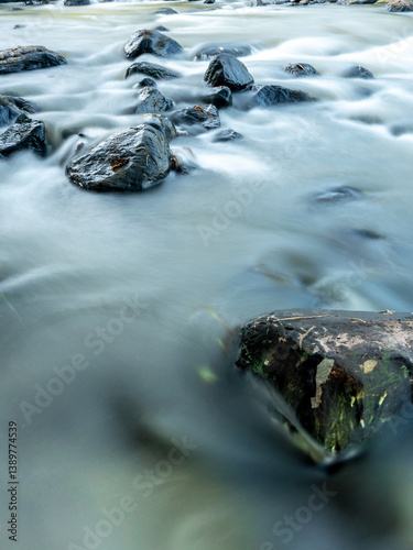 Serene Stream: Stones in Motion