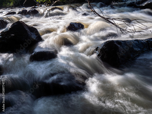 Rushing Stream: Rocks and Branch