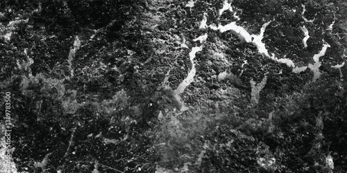 The rugged beauty of a naturally occurring texture is presented in a stark and impactful black and white composition.
