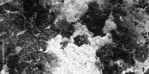 The sheer complexity and captivating nature of the texture are brought into sharp focus in this detailed monochromatic view.
