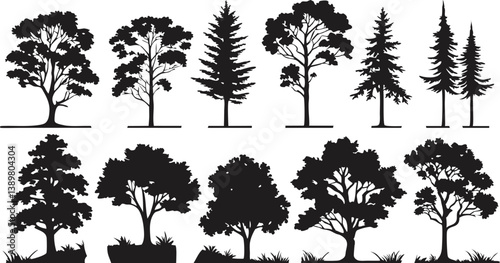 Silhouettes of trees, black and white illustration, variety of tree species, coniferous and deciduous, detailed branches and foliage, botanical art, park landscape elements, vector graphics style, min