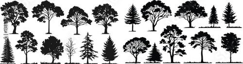 Silhouettes of trees, black and white illustration, variety of tree species, coniferous and deciduous, detailed branches and foliage, botanical art, park landscape elements, vector graphics style, min