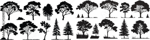 Silhouettes of trees, black and white illustration, variety of tree species, coniferous and deciduous, detailed branches and foliage, botanical art, park landscape elements, vector graphics style, min