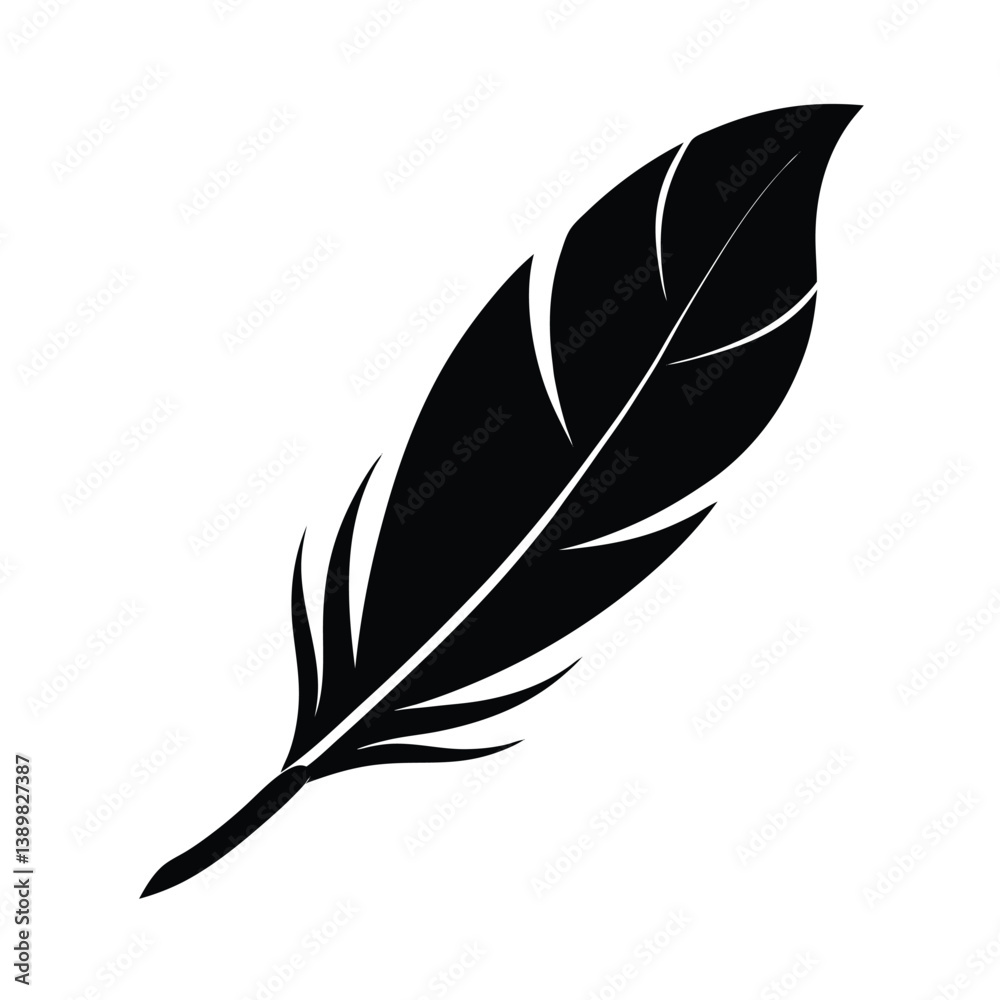 Fototapeta premium feather