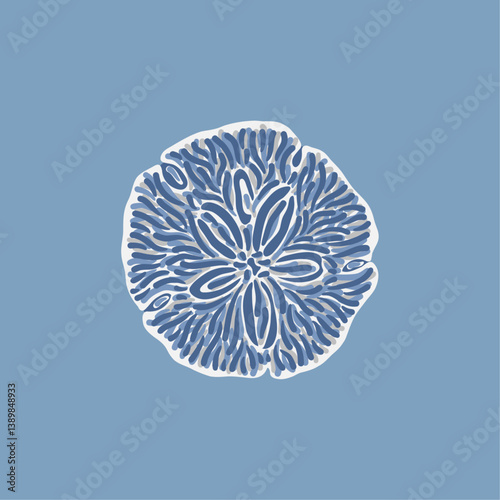 Stylized white shell illustration on blue background, marine-inspired composition