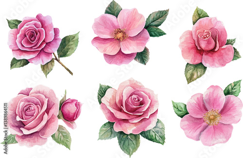 Romantic Watercolor Pink Rose – Elegant Bloom Botanical Design
