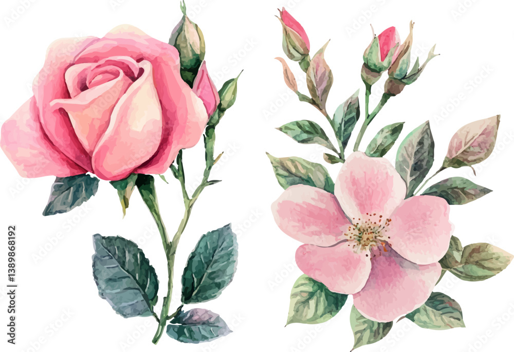 Fototapeta premium Watercolor Pink Rose Flower Illustration – Hand-Painted Floral Art