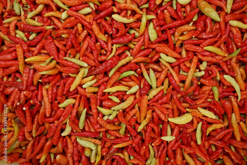 Fototapeta premium lot of chilli red hot peppers