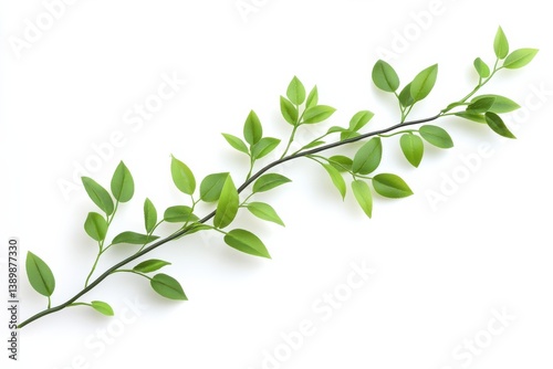 Lush green branch with vibrant leaves isolated on white background showcasing natural beauty and