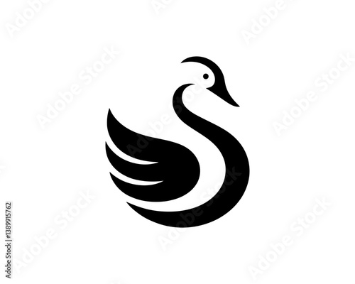 black swan vector