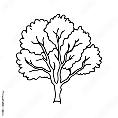 beech tree icon, beech tree line art - simple line art of beech tree, perfect for beech tree logos and icons