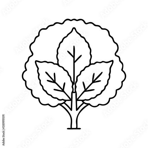 elm tree icon, elm tree line art - simple line art of elm tree, perfect for elm tree logos and icons