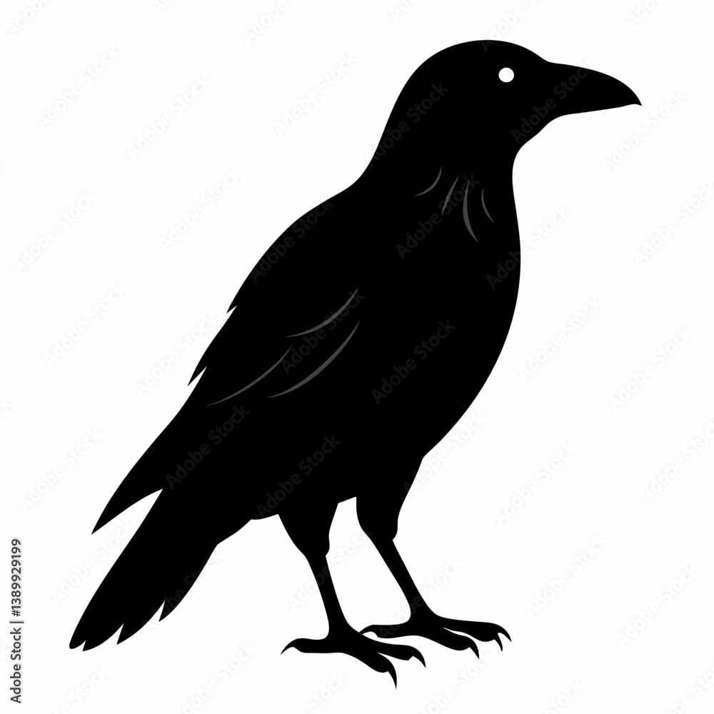 Fototapeta premium Sleek Black Crow Silhouette