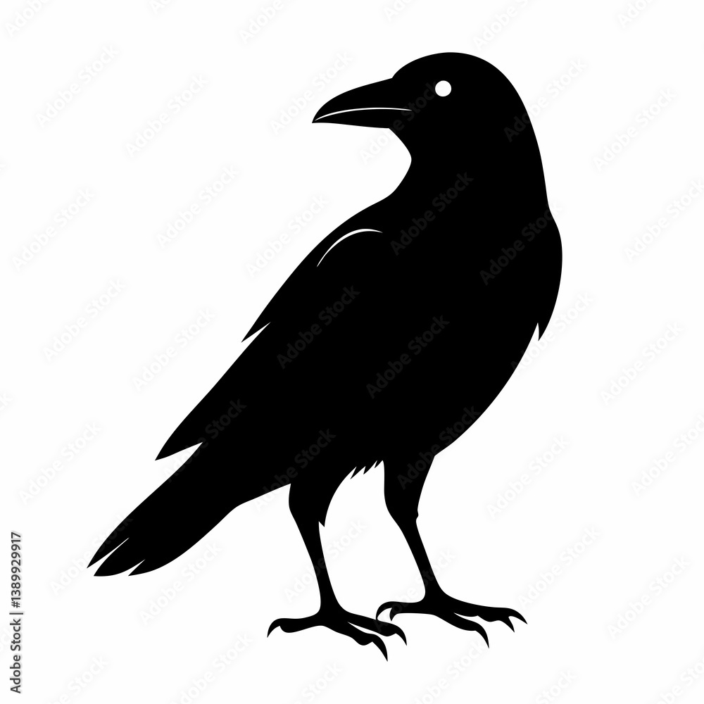 Fototapeta premium Sleek Black Crow Silhouette