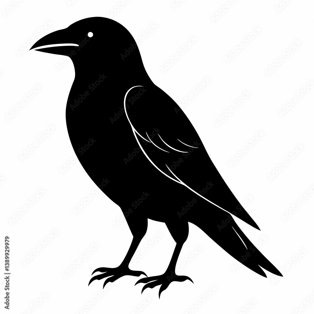 Fototapeta premium Sleek Black Crow Silhouette